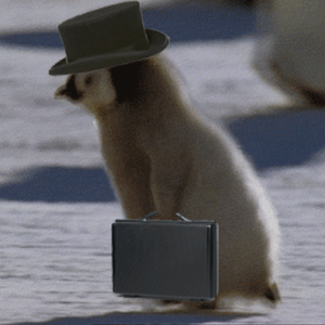 Profilbild vom Autor*in Martin0334