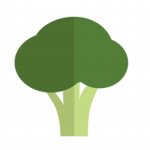 Profilbild vom Autor*in botho